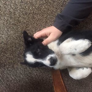 Meet your Posher, Tyler